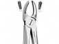 Preview: Extracting Forceps, English Pattern, Upper molars, right (DentaDepot)