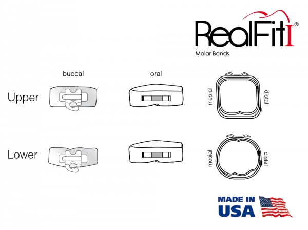 RealFit™ I – Kit Introductoriu, Arcada inf. Inele+tubusoare single (dinte 47,37) MBT* .018"